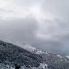 selimi.mevluda