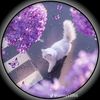 jame_chowdhury07