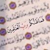 mahmouda543