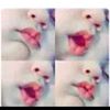 user7786726161272
