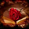 reve_interdit