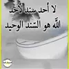 user7271538360695