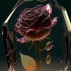 www.ali20allouchgmail.co