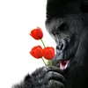 thuantruong9677