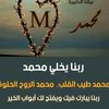 user9664034361861