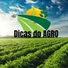 Dicas do Agro