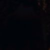 crasher._.videolar