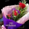dy1wx22bhnh8