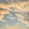 dy75qsahx58d