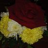 elis.rosales