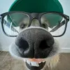 megatron_572