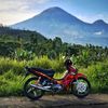 wi_cahowlred