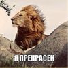 kz.ddd