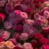 النادره♡