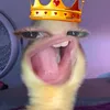 yourvjm