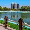 mohmadmoh84