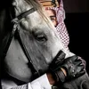 6__saad