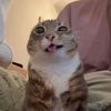 send1iiiii