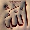 Shahzad Ahmed
