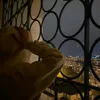 milana_525