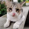 karen14071009
