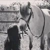georginaalexander13