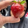sekarramadhania_
