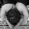 bunda_alamsyah