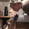 steffkra83