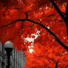 eileenmuhammed3