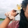 thisloverose6