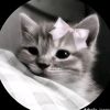 md.enayet.hossain50