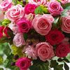 abo_saleh408
