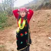 parbatimgr31