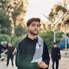 حسين شوقي