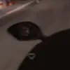 dyh6qkvwqzpu