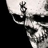 rox_wt