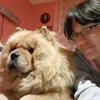 blondebeautychowchow