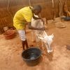 baye__modou__toure
