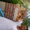 dy9h1k9cz68v