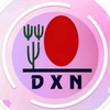 .dxn316