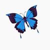 user8139208801116