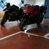 elche_kawasaki_ninja