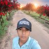anash618