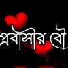 user22961817058817