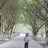 dieuduyen813