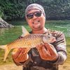 rainforest_angler