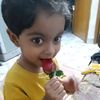 rajibrajib448