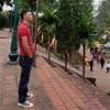 thanhtung.686