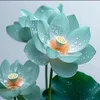 duong_010301